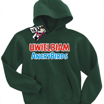 Uwielbiam Angrybirds - super dziecięca bluza, kod: SZDZ00183S