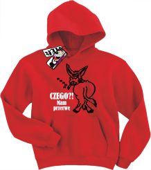 Czego mam przerwę - zabawna bluza dziecięca, kod: SZDZ00012S