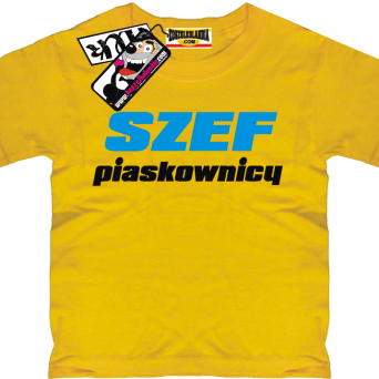 Szef piaskownicy - zabawny tshirt dziecięcy, kod: SZDZ00052K